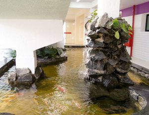 Unidade-Barbosa-de-Freitas-img-galeria-2