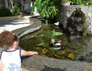 Unidade-Irma-Maria-img-galeria-4